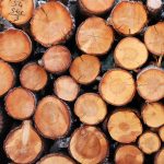 Schnittholz von Bergisches Holz und Kaminholz Thurau – Qualität aus Forstwirtschaft und Gartenlandschaftsbau im Rhein-Sieg-Kreis und Bergischen Land.