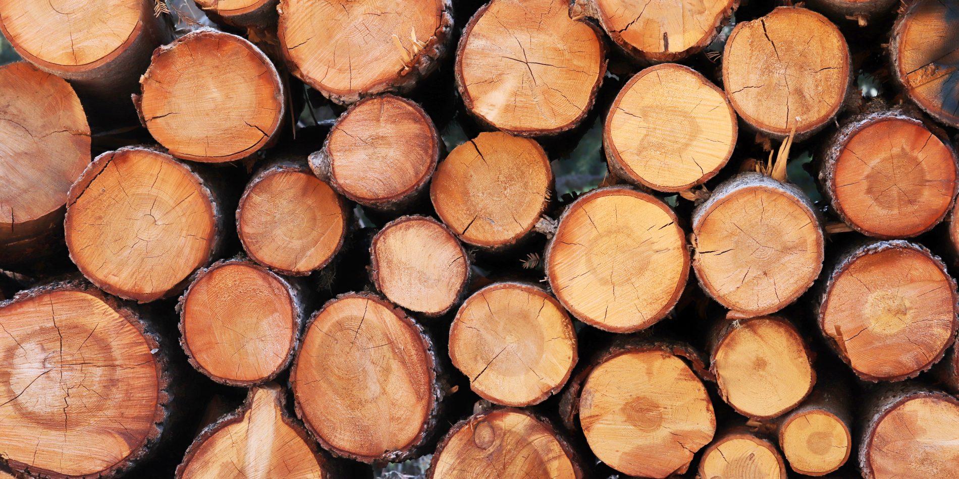 Schnittholz von Bergisches Holz und Kaminholz Thurau – Qualität aus Forstwirtschaft und Gartenlandschaftsbau im Rhein-Sieg-Kreis und Bergischen Land.
