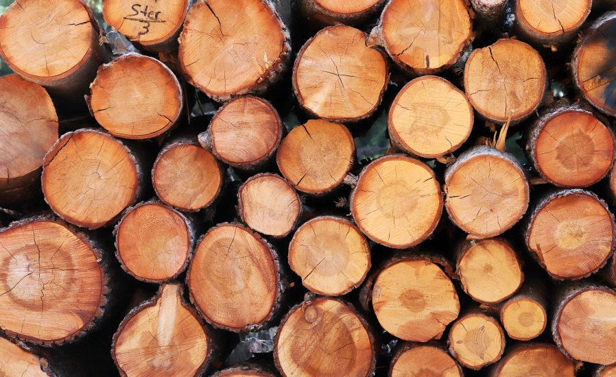 Schnittholz von Bergisches Holz und Kaminholz Thurau – Qualität aus Forstwirtschaft und Gartenlandschaftsbau im Rhein-Sieg-Kreis und Bergischen Land.